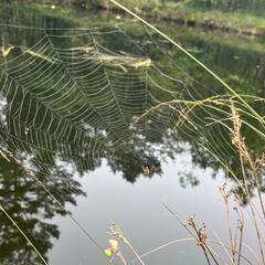 23-09-10 09-46-00 6587